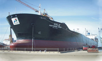 Dock V